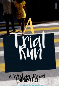 Book title: A Trial Run . Author: Writing David 
