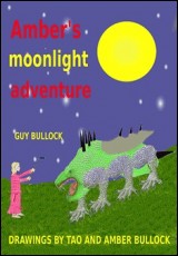 Amber's Moonlight Adventure
