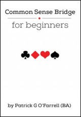 Common Sense Bridge for Beginners
