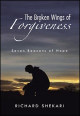 The Broken Wings of Forgiveness