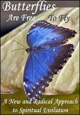Butterflies Are Free To Fly