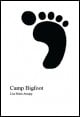Book title: Camp Bigfoot. Author: Lisa Arnopp