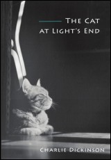 The Cat at Light's End