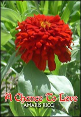 A Chance To Love