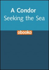 A Condor Seeking the Sea