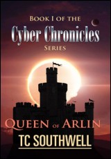 The Cyber Chronicles