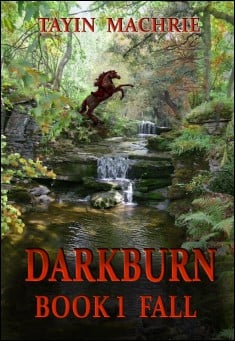 Book title: Darkburn Book 1: Fall. Author: Tayin Machrie