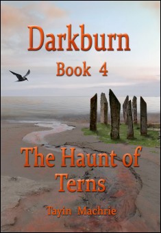 Darkburn Book 4: The Haunt of Terns