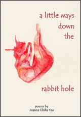 A Little Ways down the Rabbit Hole