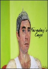 Faraday's Cage