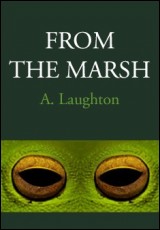 From The Marsh