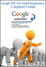 Google PPC For Small Businesses: A Beginner's Guide.
