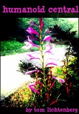 Humanoid Central