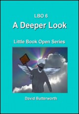 LBO Series - A Deeper Look