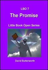 LBO Series - The Promise
