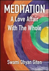 Meditation: A Love Affair with the Whole