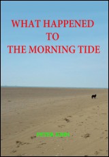 What Happened to the Morning Tide