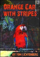 Orange Car with Stripes