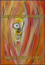 Meager Gropings in Madness