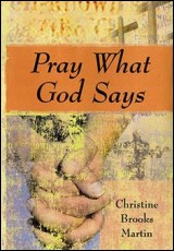 Pray What God Says