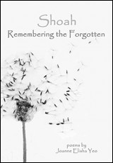 Shoah: Remembering the Forgotten