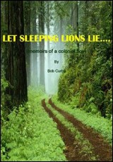 Let Sleeping Lions Lie