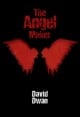 Book title: The Angel Maker. Author: David Dwan