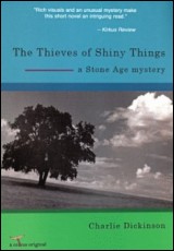 The Thieves of Shiny Things