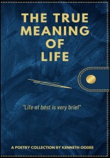 The True Meaning of Life 