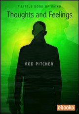 Thoughts and Feelings: A Little Book of Haiku