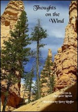 Thoughts on the Wind