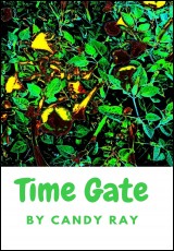 Time Gate