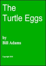The Turtle Eggs