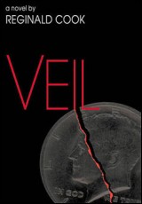 Veil
