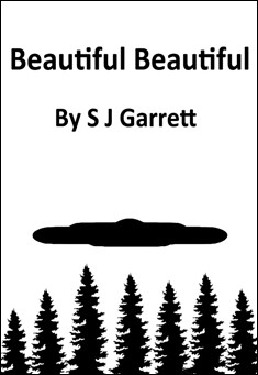 Book title: Beautiful Beautiful. Author: S J Garrett