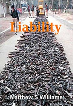 Book title: Liability. Author: Matthew S Williams