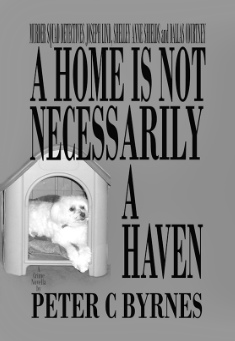 Book title: A Home is Not Necessarily a Haven. Author: Peter C Byrnes