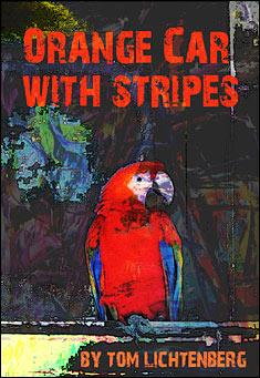 Orange Car with Stripes