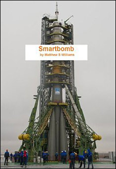 Smartbomb by Matthew S Williams