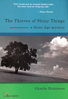 The Thieves of Shiny Things